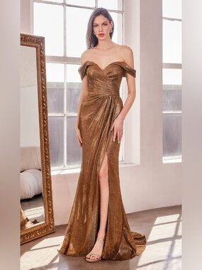 🇯🇵Ladivine Amoris Long Formal Dress T605